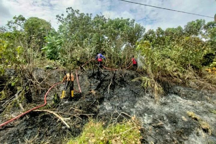 Kebakaran Hutan di Kalimantan Meningkat, Walhi Sebut Pemerintah Tak Serius Mengatasinya