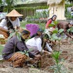 Amartha Gandeng Junglo Reduksi Emisi Karbon Melalui Replanting Hutan Asli
